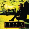 Sting - Shape of My Heart