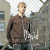 David Pedersen - Wild At Heart