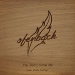 Ofenbach ft  Brodie Barclay - You Don't Know Me
