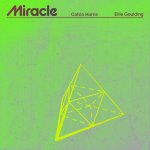 Calvin Harris and Ellie Goulding - Miracle