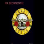 Guns N' Roses - Mr. Brownstone